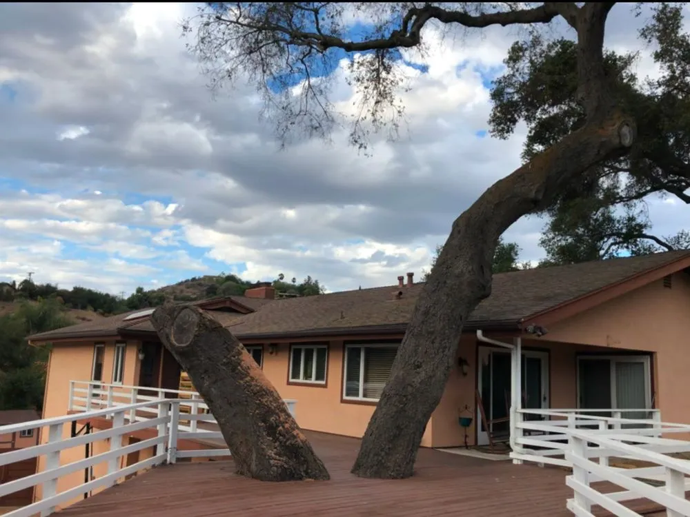 Local residential landscaping for homes across Escondido, CA - Lifetime Tree Service