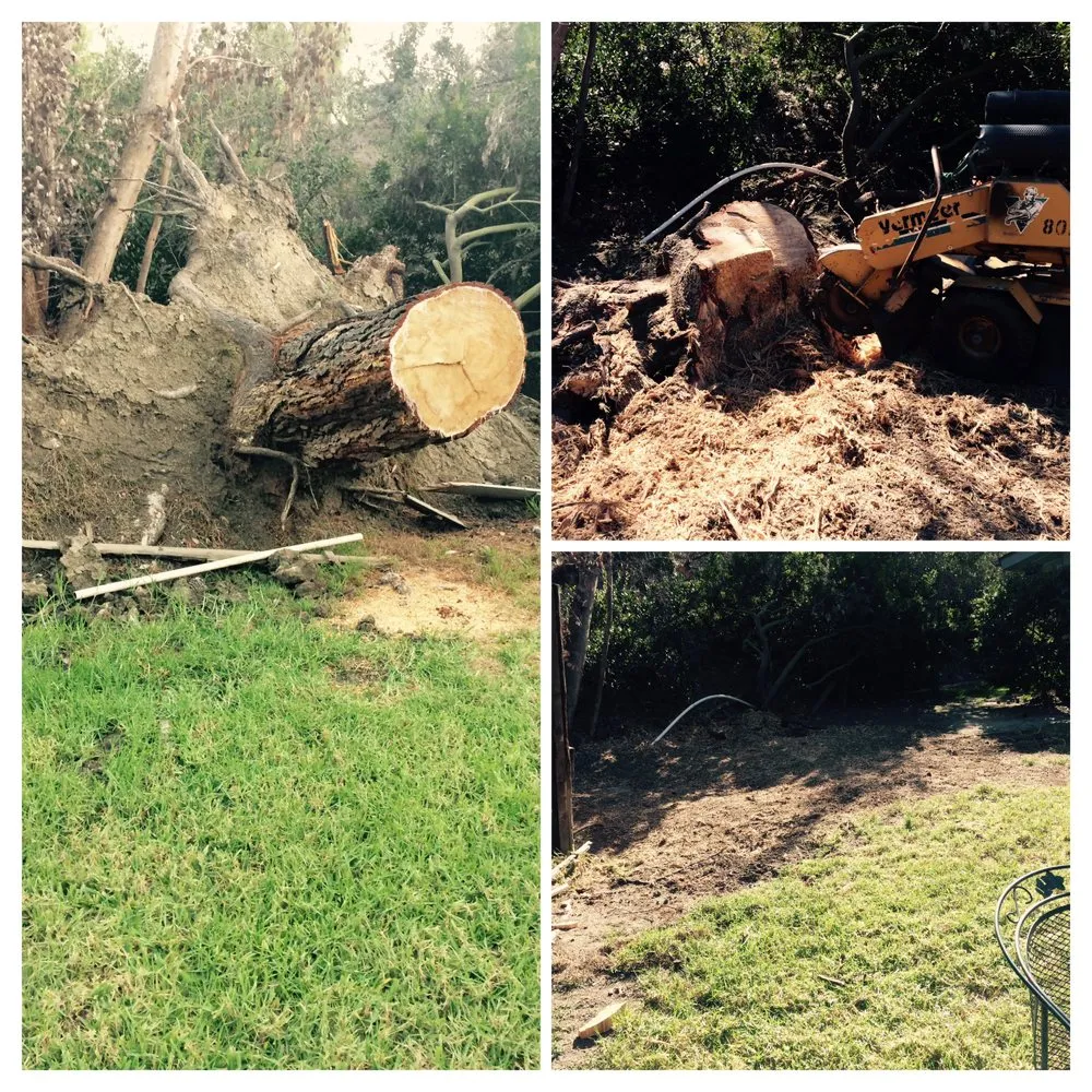 Professional landscaping services in Escondido, CA - Lifetime Tree Service