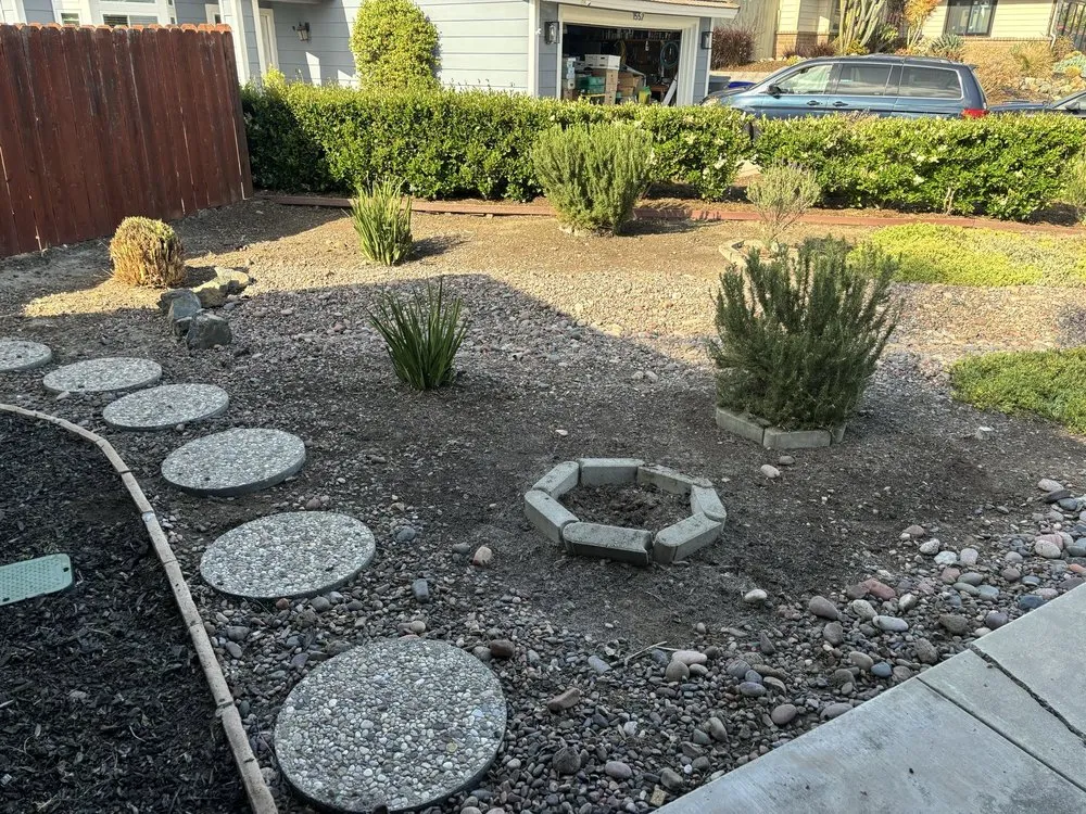 Trusted landscape design in Escondido, CA - Lifetime Tree Service
