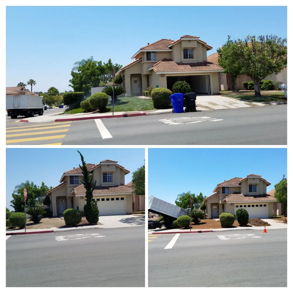 Custom landscape design near you across Escondido, CA - Lifetime Tree Service