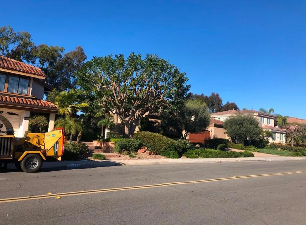 Professional garden landscaping in Escondido, CA - Lifetime Tree Service