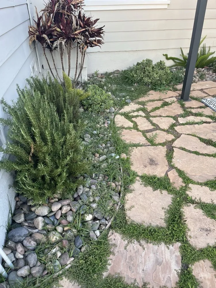 Top-rated landscaping services in Escondido, CA by Lifetime Tree Service