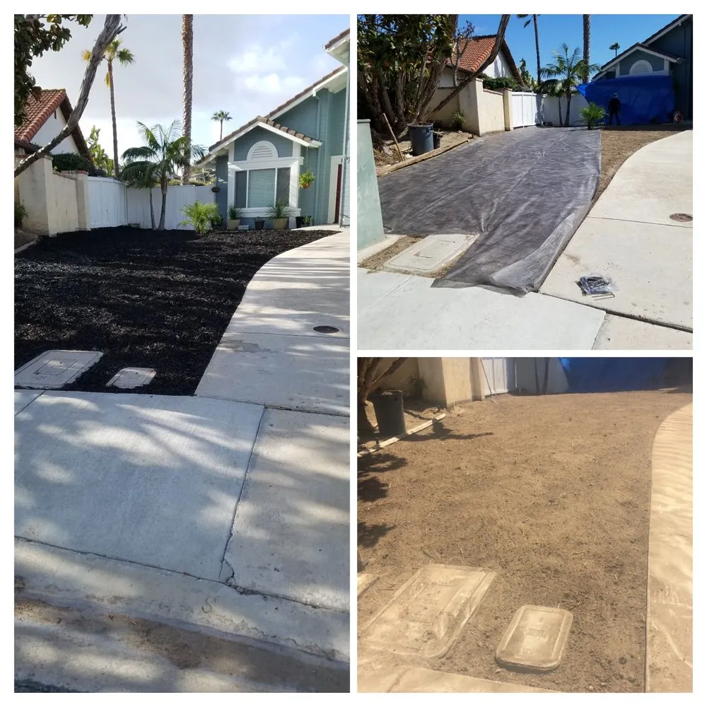 Expert outdoor landscaping experts serving Escondido, CA - Lifetime Tree Service