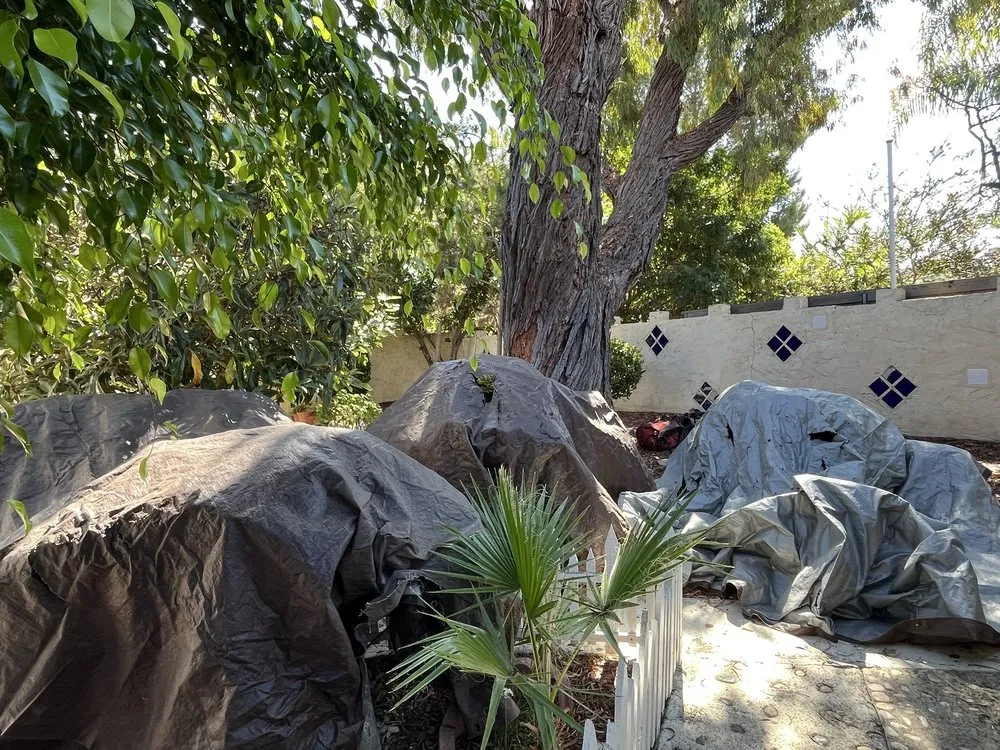 Reliable landscape design for year-round maintenance in Escondido, CA by Lifetime Tree Service