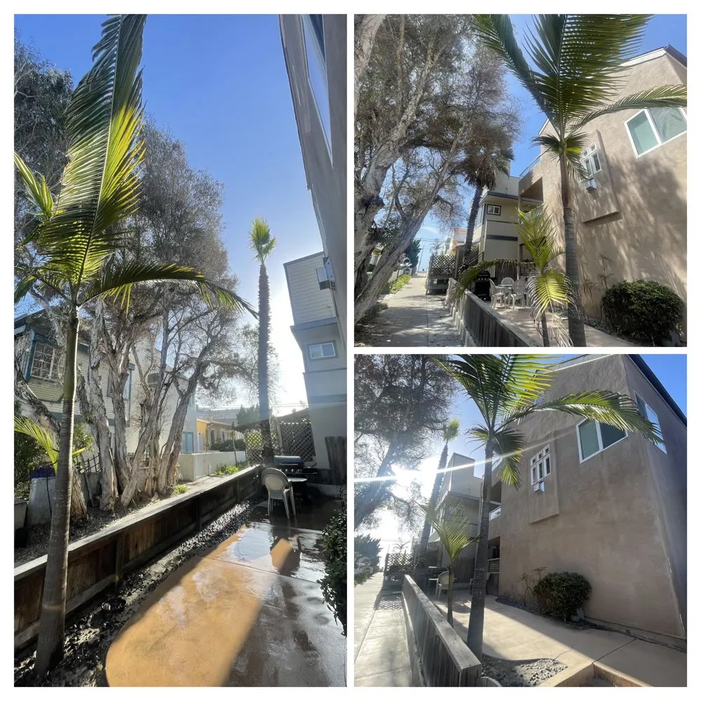 Affordable garden landscaping experts serving Escondido, CA - Lifetime Tree Service