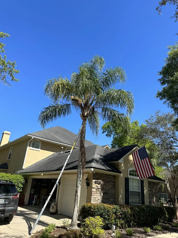 Professional yard maintenance in Jacksonville, FL - LifeWell Services