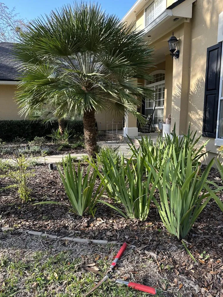 Affordable landscape installation in Jacksonville, FL - LifeWell Services