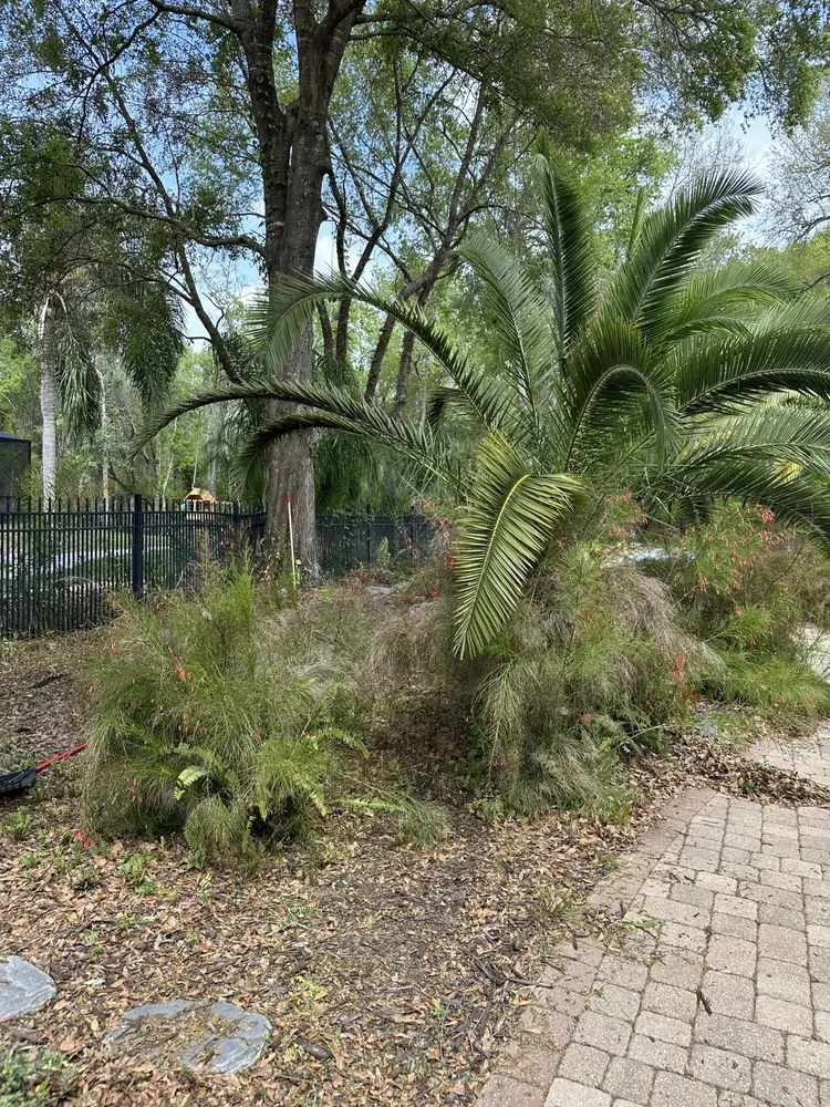 Local landscape design experts serving Jacksonville, FL - LifeWell Services