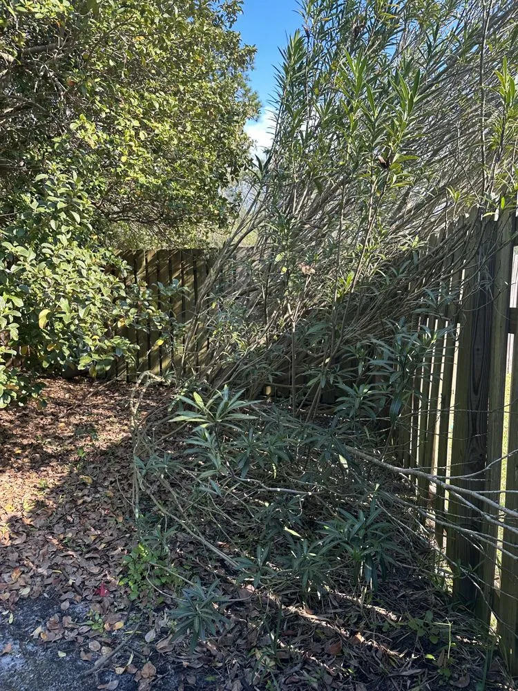 Affordable landscaping services in Jacksonville, FL - LifeWell Services