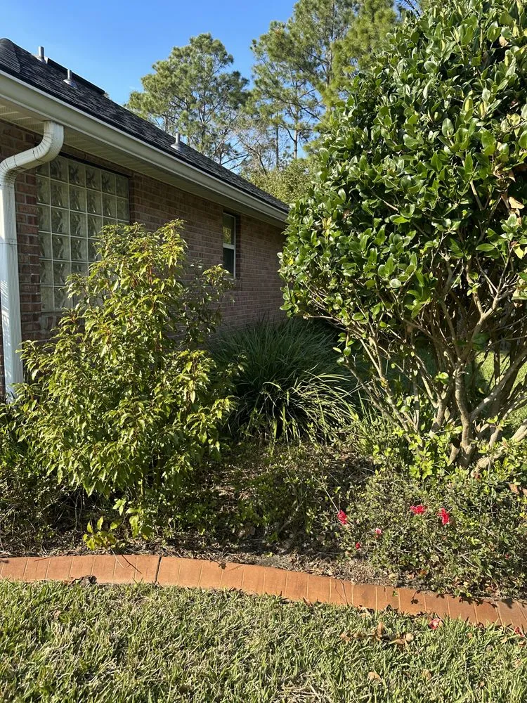 Reliable landscaping services in Jacksonville, FL - LifeWell Services