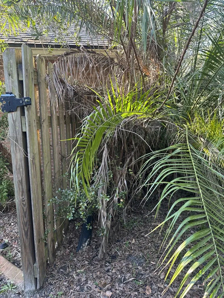 Custom landscape design in Jacksonville, FL by LifeWell Services