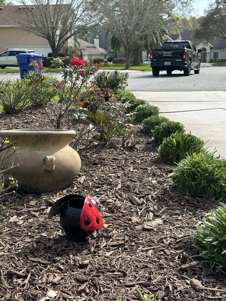 Local landscaping services experts serving Jacksonville, FL - LifeWell Services