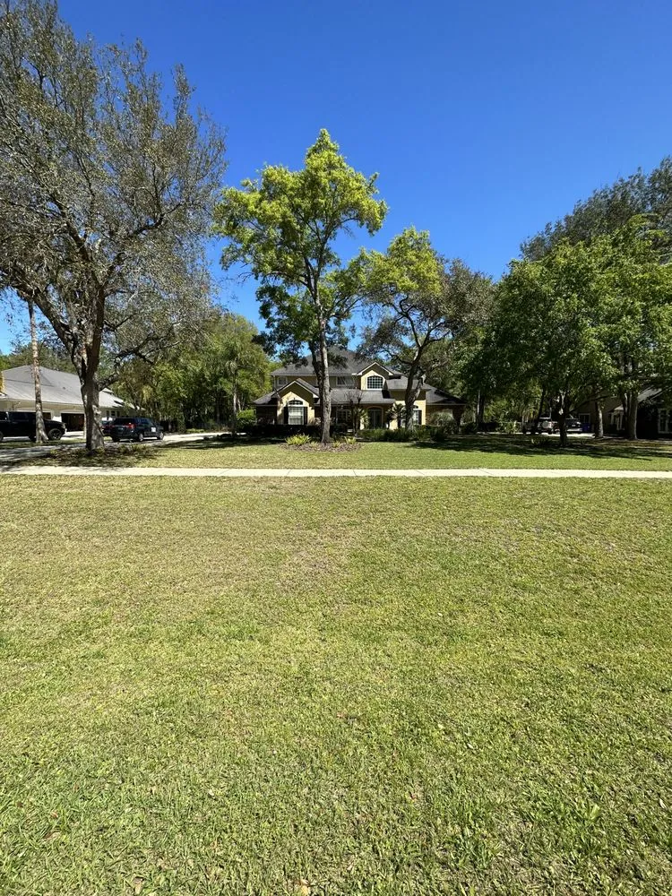 Affordable landscaping services in Jacksonville, FL by LifeWell Services