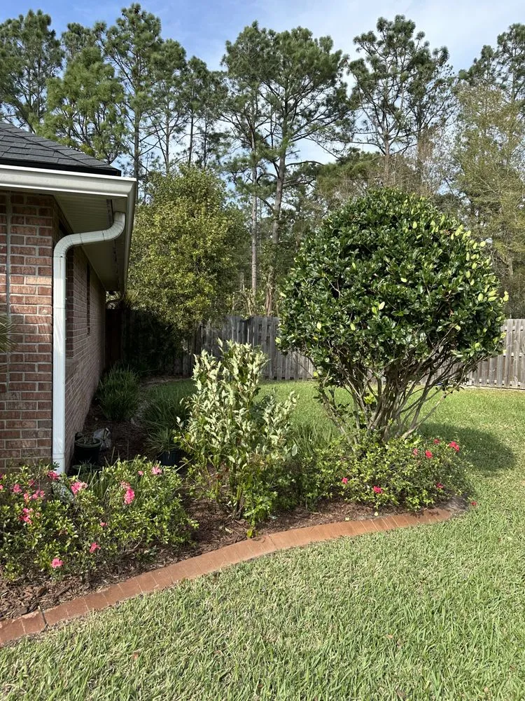 Expert landscape installation in Jacksonville, FL by LifeWell Services