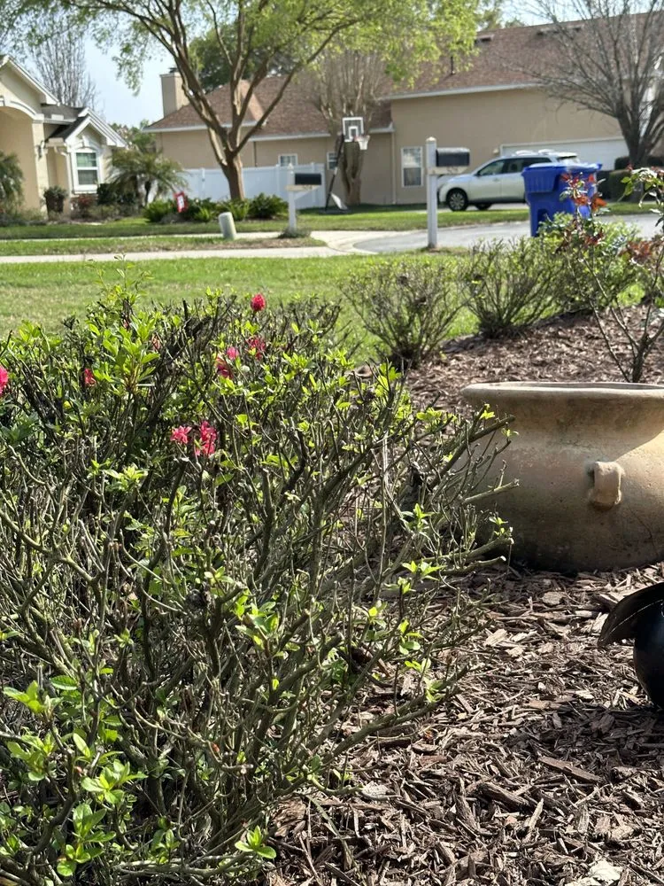 Professional yard maintenance for year-round maintenance in Jacksonville, FL by LifeWell Services