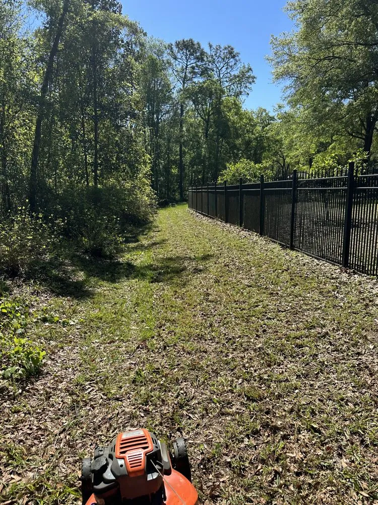 Top-rated landscape installation with custom design across Jacksonville, FL - LifeWell Services