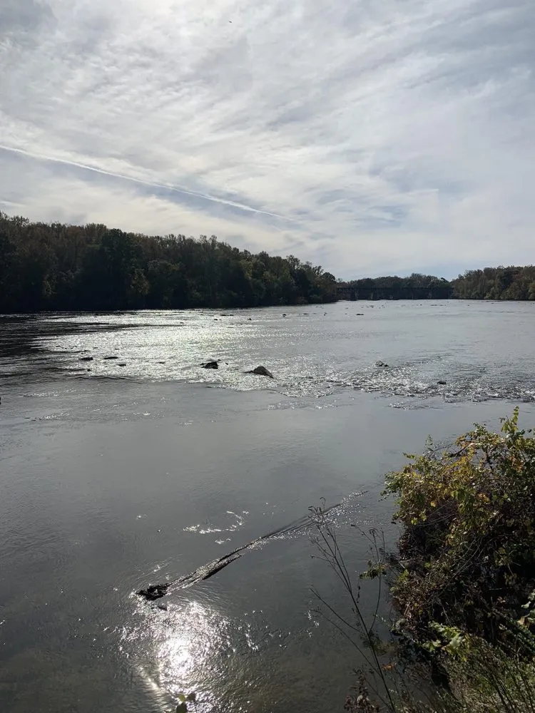 Expert residential landscaping for outdoor upgrades across Rock Hill, SC - Lifted Exteriors