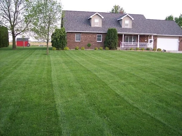 Top-rated yard maintenance with custom design across Rock Hill, SC - Lifted Exteriors