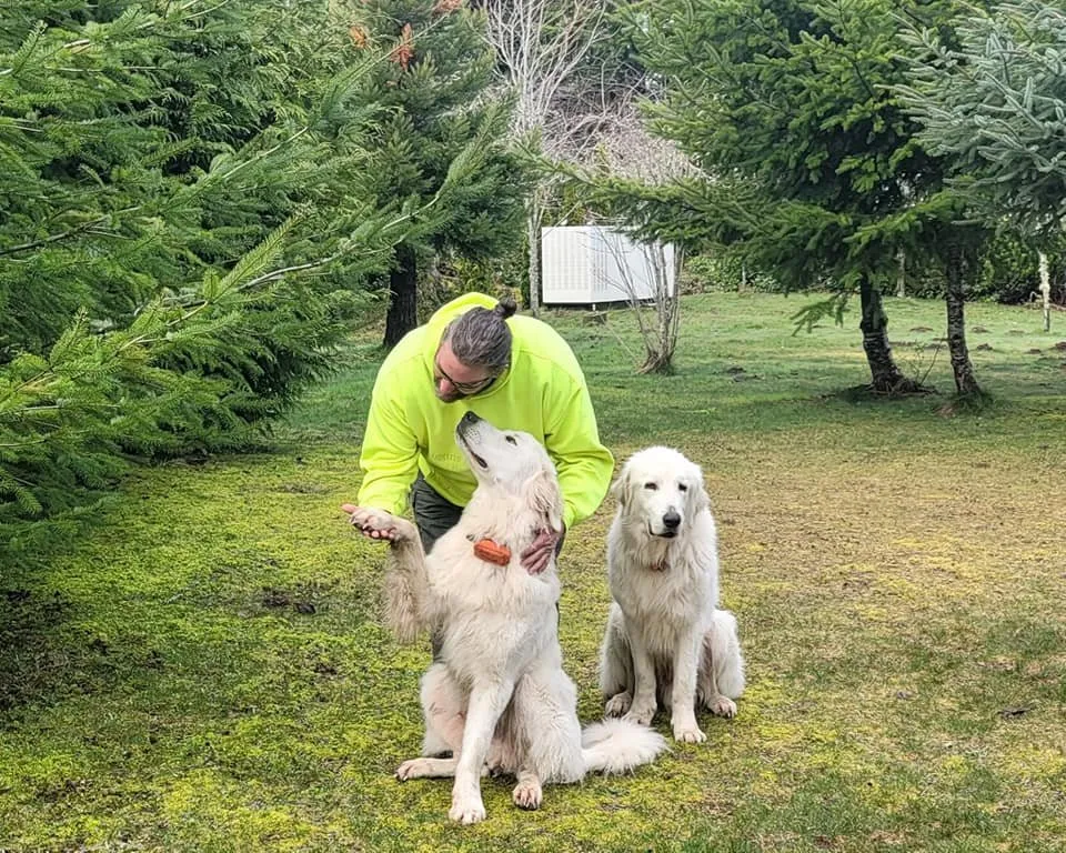 Expert lawn care service in Sequim, WA - Liggins Landscaping & Maintenance