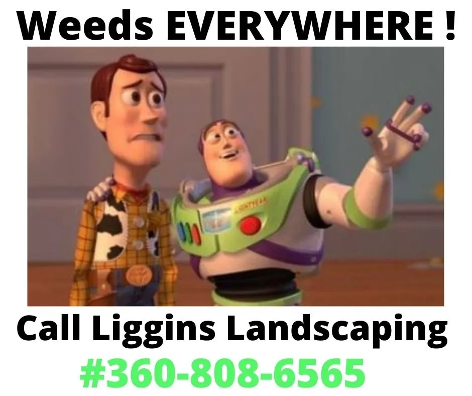 Trusted outdoor landscaping in Sequim, WA - Liggins Landscaping & Maintenance