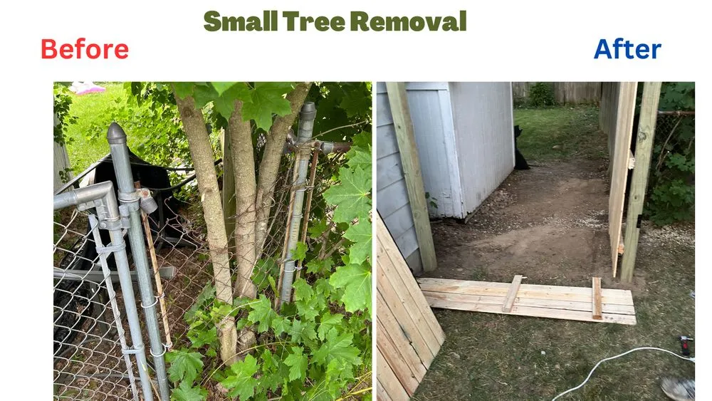 Reliable landscaping services with custom design in Lansing, MI by Liggons Home Solutions