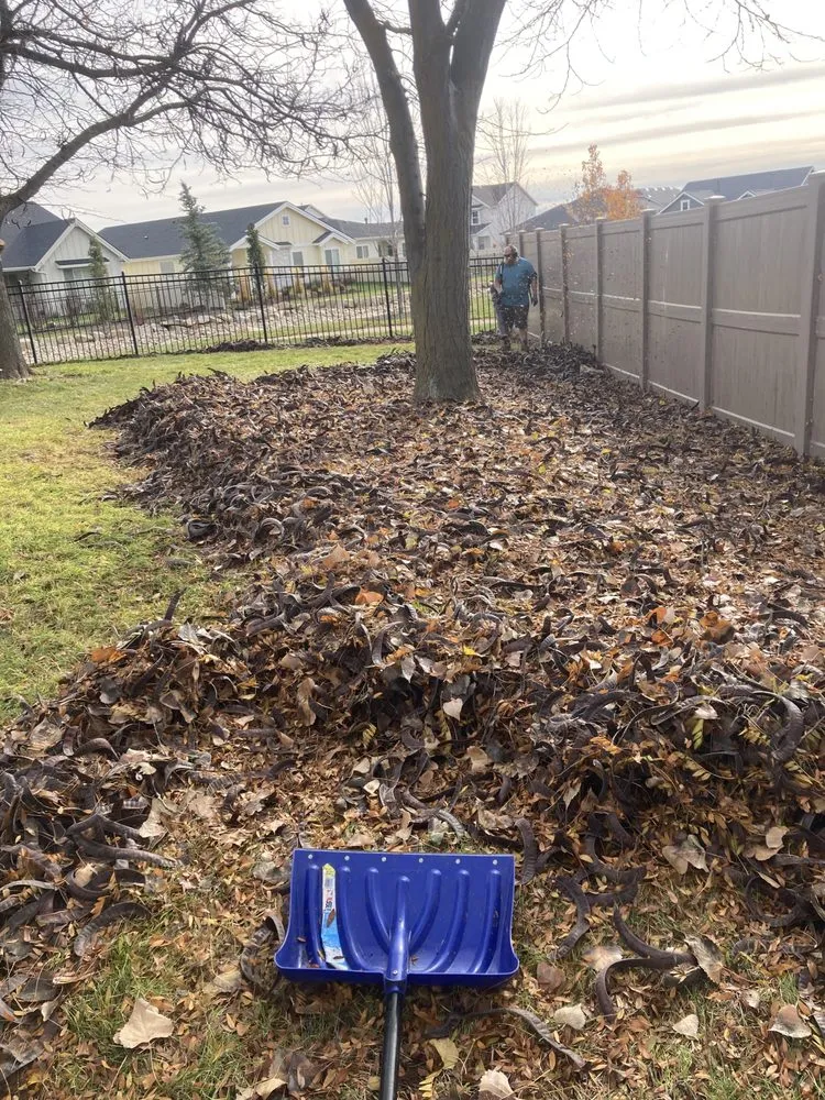 Local yard cleanup service experts serving Garden City, ID - Light knight