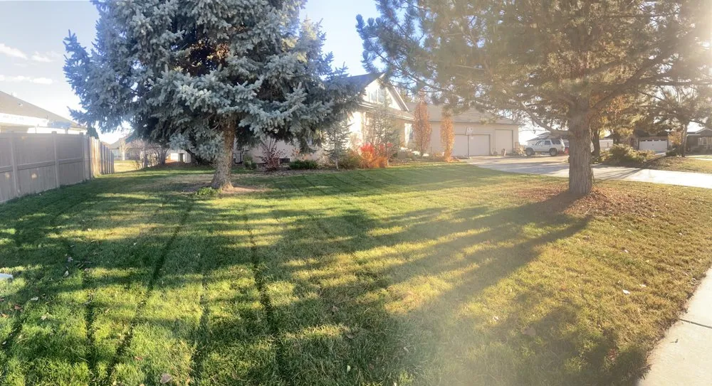 Professional yard maintenance experts serving Garden City, ID - Light knight