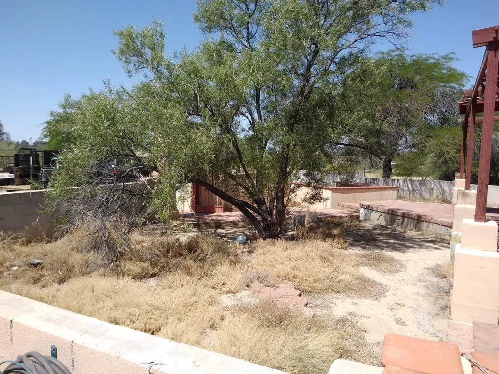 Top-rated garden landscaping in Tucson, AZ by Light Landscaping