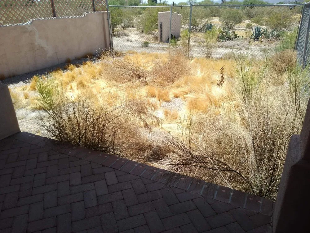 Affordable landscape installation with custom design in Tucson, AZ by Light Landscaping