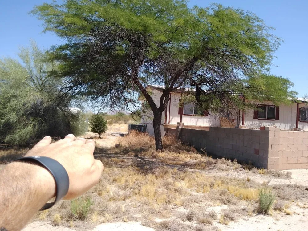 Reliable garden landscaping in Tucson, AZ - Light Landscaping