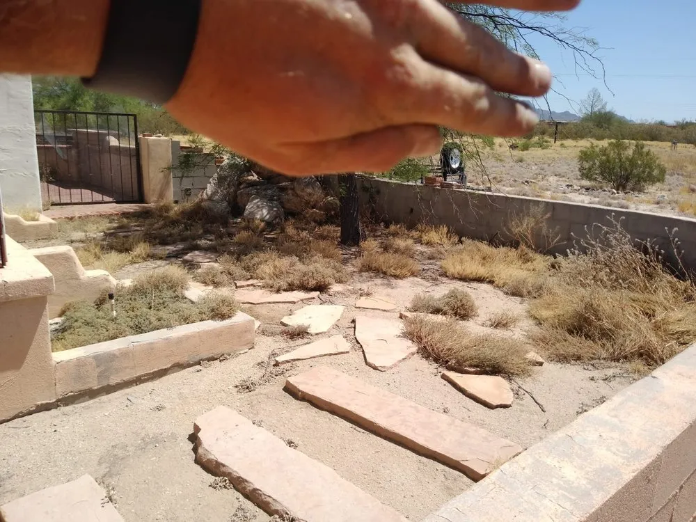 Professional lawn mowing service experts serving Tucson, AZ - Light Landscaping