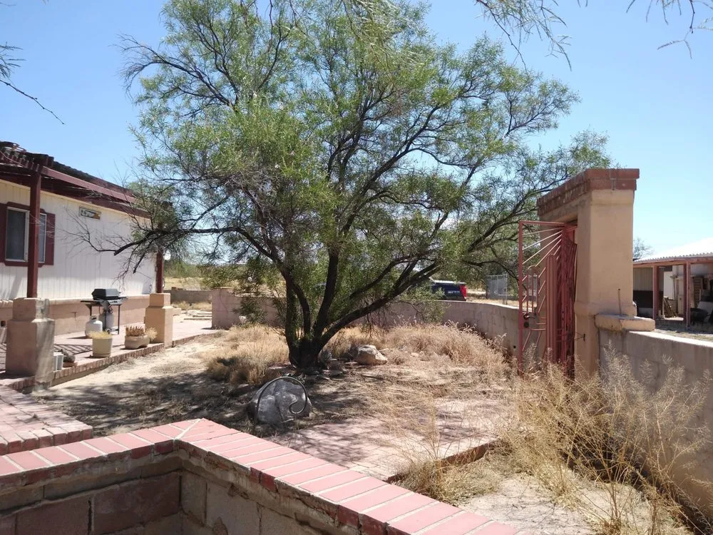 Reliable residential landscaping for residential properties across Tucson, AZ - Light Landscaping