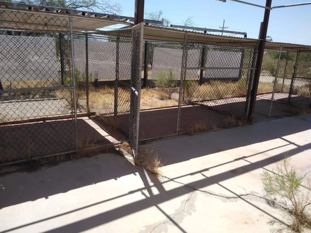 Expert outdoor landscaping in Tucson, AZ - Light Landscaping