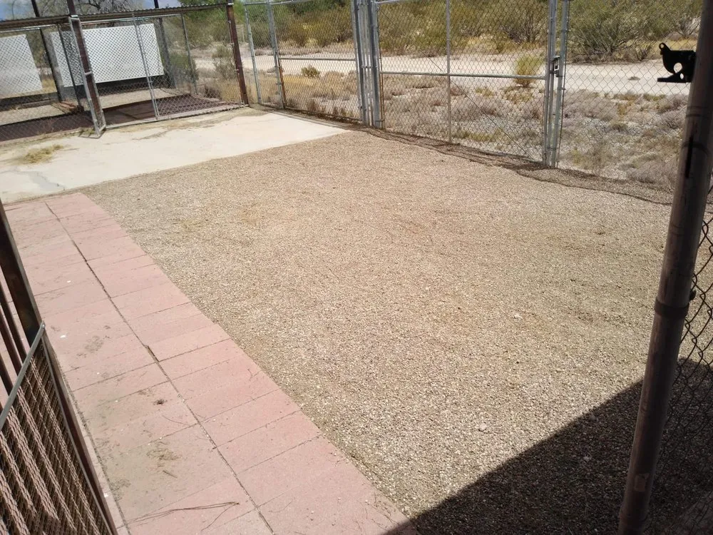 Affordable yard cleanup service in Tucson, AZ - Light Landscaping