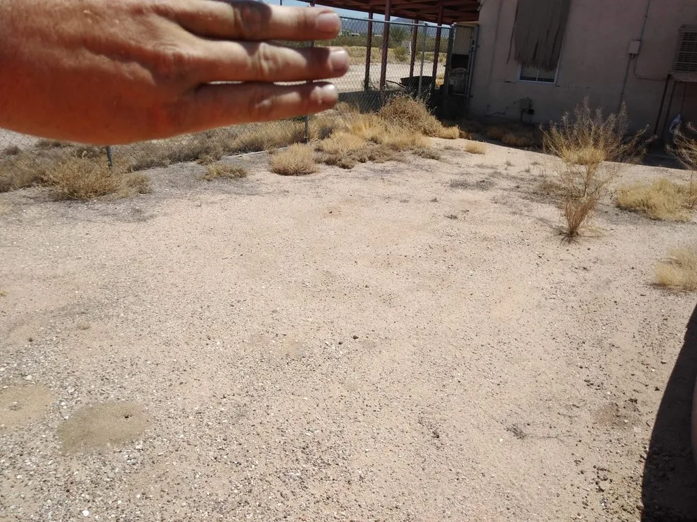 Custom landscaping services for beautiful yards across Tucson, AZ - Light Landscaping