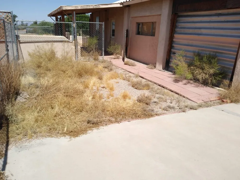 Custom landscaping services for outdoor upgrades in Tucson, AZ by Light Landscaping