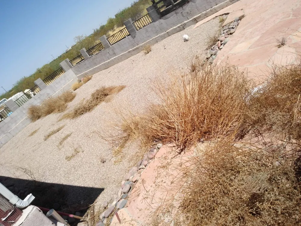 Professional garden landscaping in Tucson, AZ - Light Landscaping