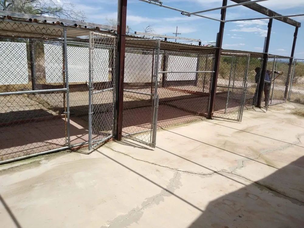 Affordable garden landscaping for homes across Tucson, AZ - Light Landscaping