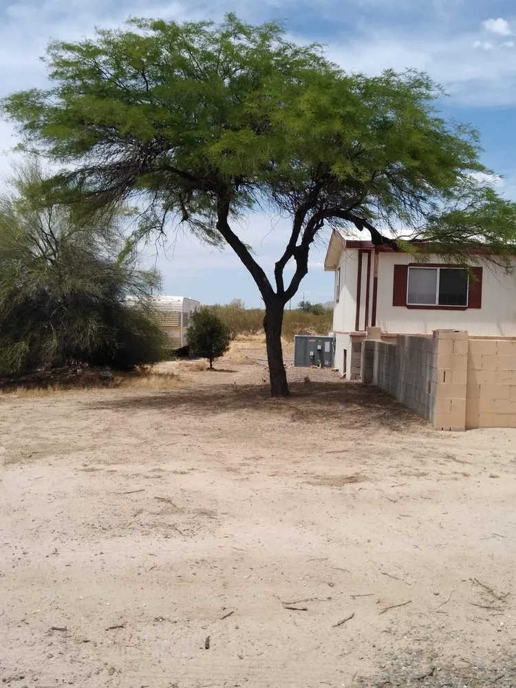 Expert yard cleanup service in Tucson, AZ - Light Landscaping