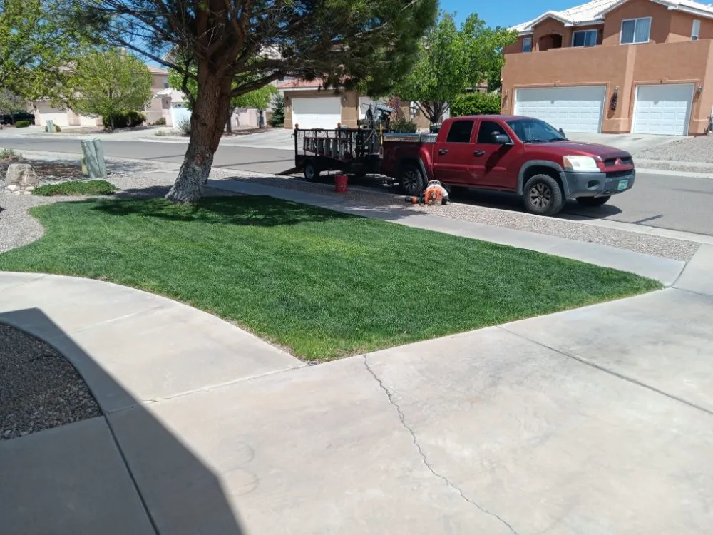 Custom yard cleanup service in Albuquerque, NM by Lighthouse Handyman Services