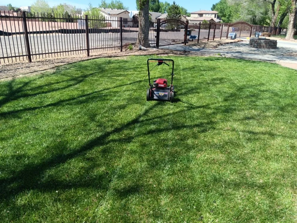 Affordable residential landscaping near you across Albuquerque, NM - Lighthouse Handyman Services