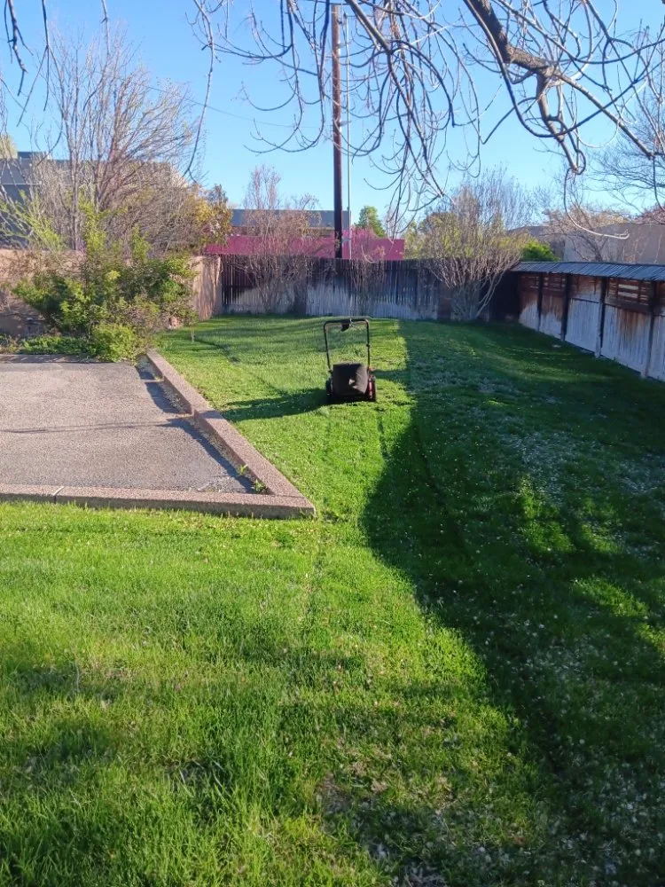 Custom landscape installation in Albuquerque, NM by Lighthouse Handyman Services