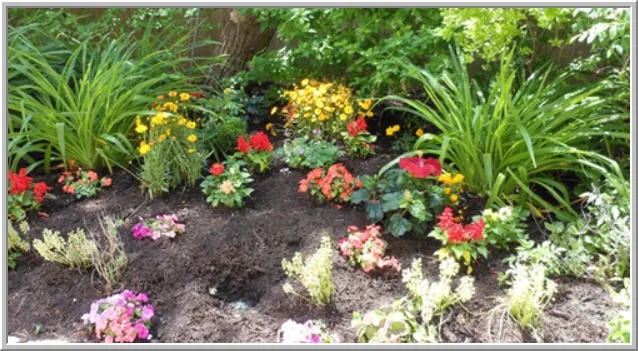 Custom lawn mowing service in Barnegat Light, NJ - Lighthouse Landscape