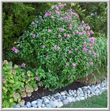 Trusted outdoor landscaping experts serving Barnegat Light, NJ - Lighthouse Landscape