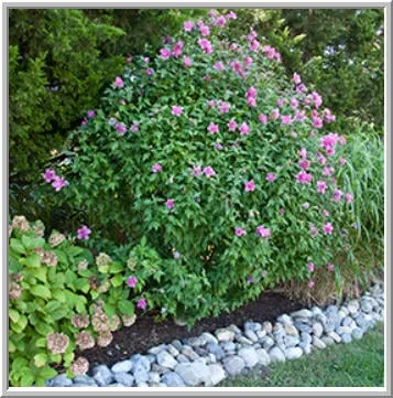 Reliable lawn care service in Barnegat Light, NJ by Lighthouse Landscape