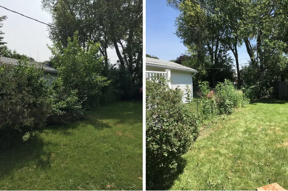 Custom yard maintenance experts serving Aurora, CO - Lighthouse Landscaping