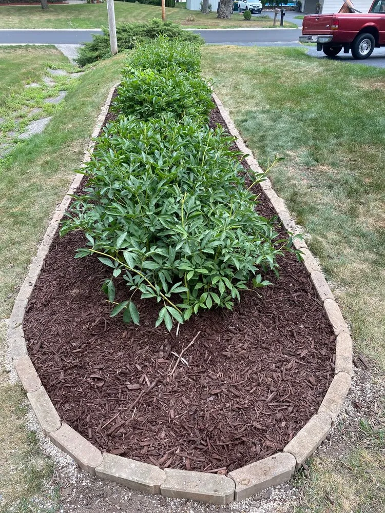 Top-rated residential landscaping in Franklin, WI - Lighthouse Landscaping