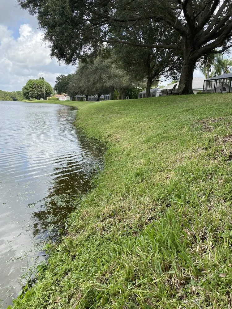 Trusted landscape installation experts serving Sarasota, FL - Lighthouse Lawn Care