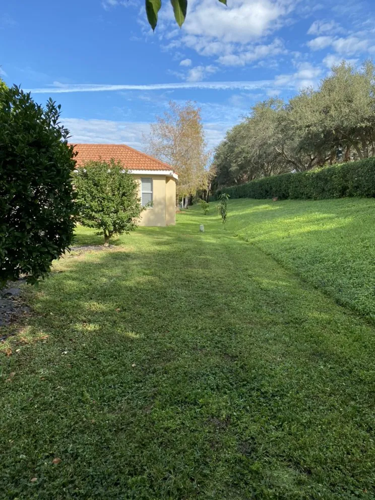 Affordable landscaping services experts serving Sarasota, FL - Lighthouse Lawn Care