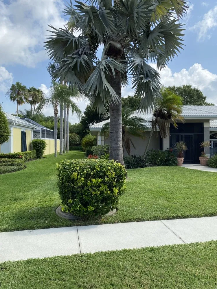 Trusted landscaping services experts serving Sarasota, FL - Lighthouse Lawn Care